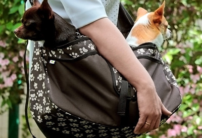 Beverly Hills dog carry bag, size L