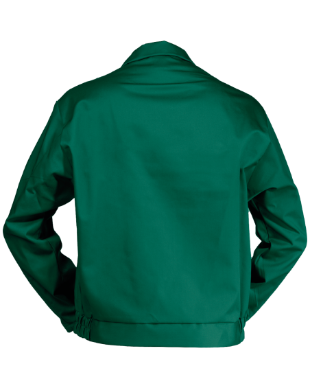 Bluza classic Kneiter, zielona - tył bluzy