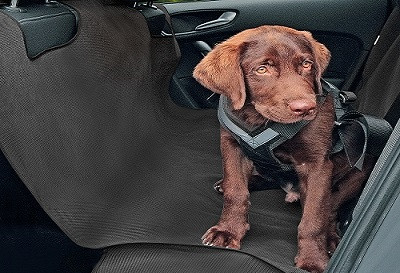 Protective cover XL for dog tranporting ALEX